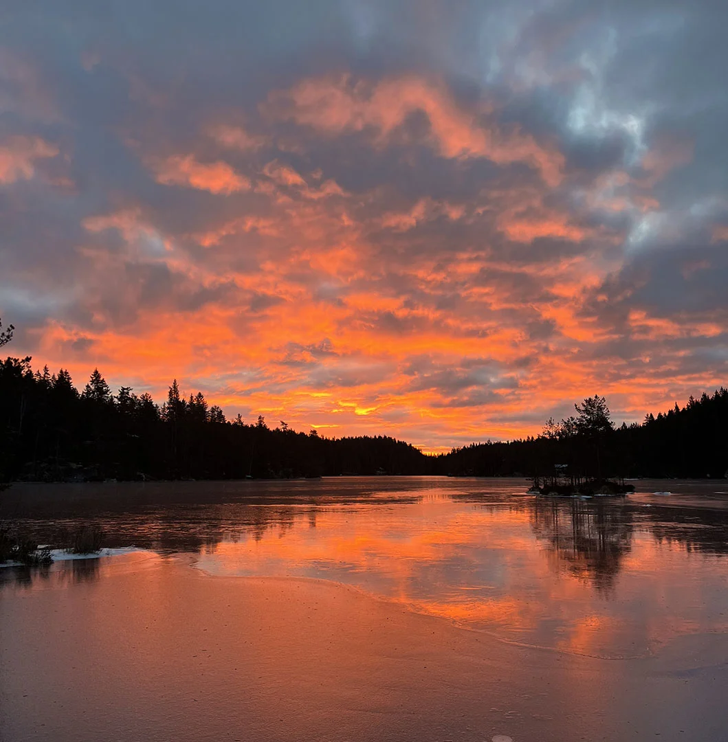 Wild ice Sunrise Sweden
